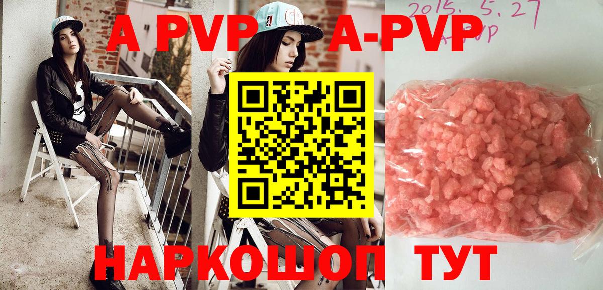 Альфа ПВП СК КРИС  Вход с VPN  А ПВП СК КРИС  Назрань  А ПВП крисы CK 