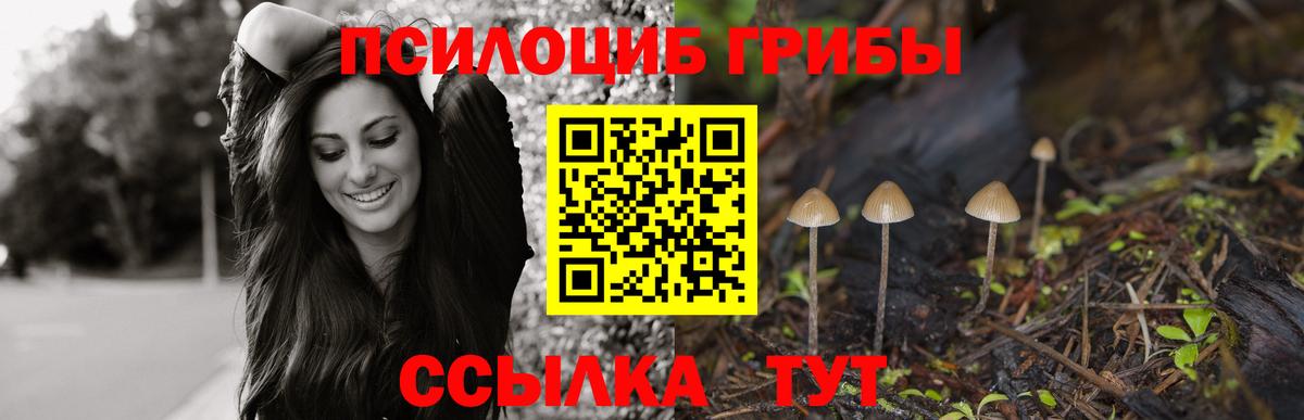 Назрань  Псилоцибиновые грибы мухоморы  Вход с VPN  Галлюциногенные грибы мицелий 